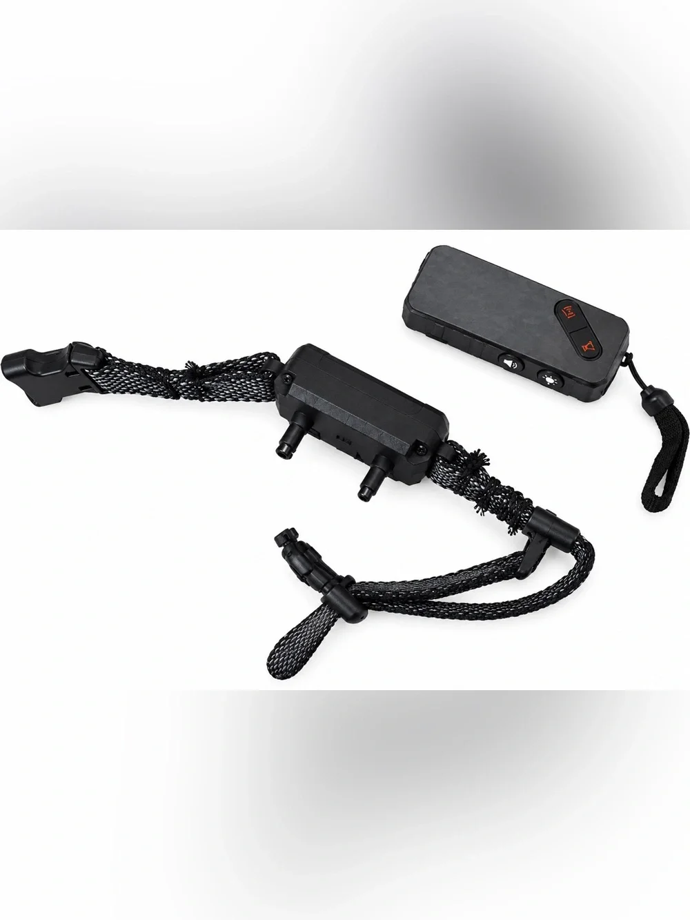 Cat/Dog Training Collar with Remote - Black